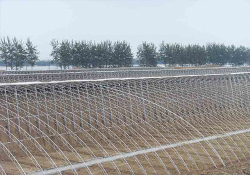 全國各地蔬菜大棚建設棚型溫室設計特點