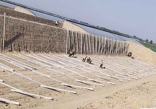 壽光市第九代高标準冬暖式蔬菜大棚的建造技術
