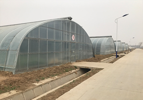 蔬菜大棚建設分爲幾部分
