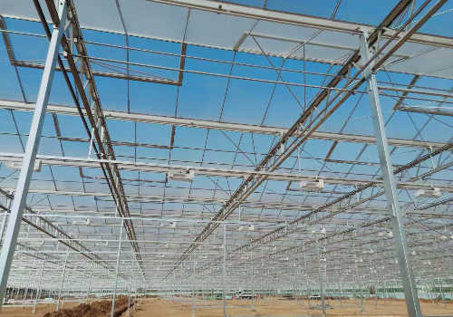 建設溫室大棚需要具備哪些條件？