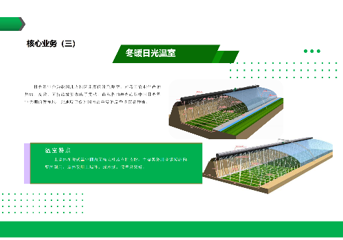 蔬菜大棚建設的具體步驟可以分爲以下幾個部分