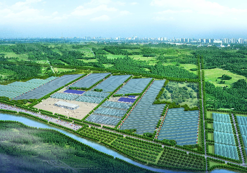 玻璃溫室大棚建設成爲了高效農業