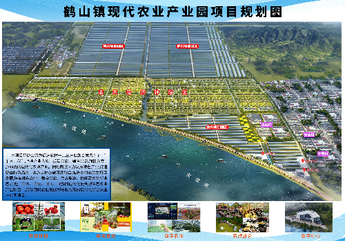 鶴山縣現代農業園溫室大棚建設規劃設計