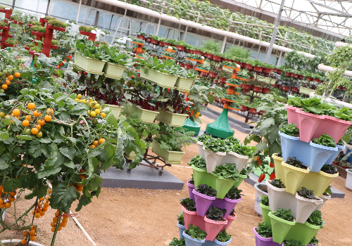 壽光大棚建設溫室工程建造有限公司