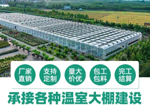 大力推進#玻璃溫室大棚建設#項目