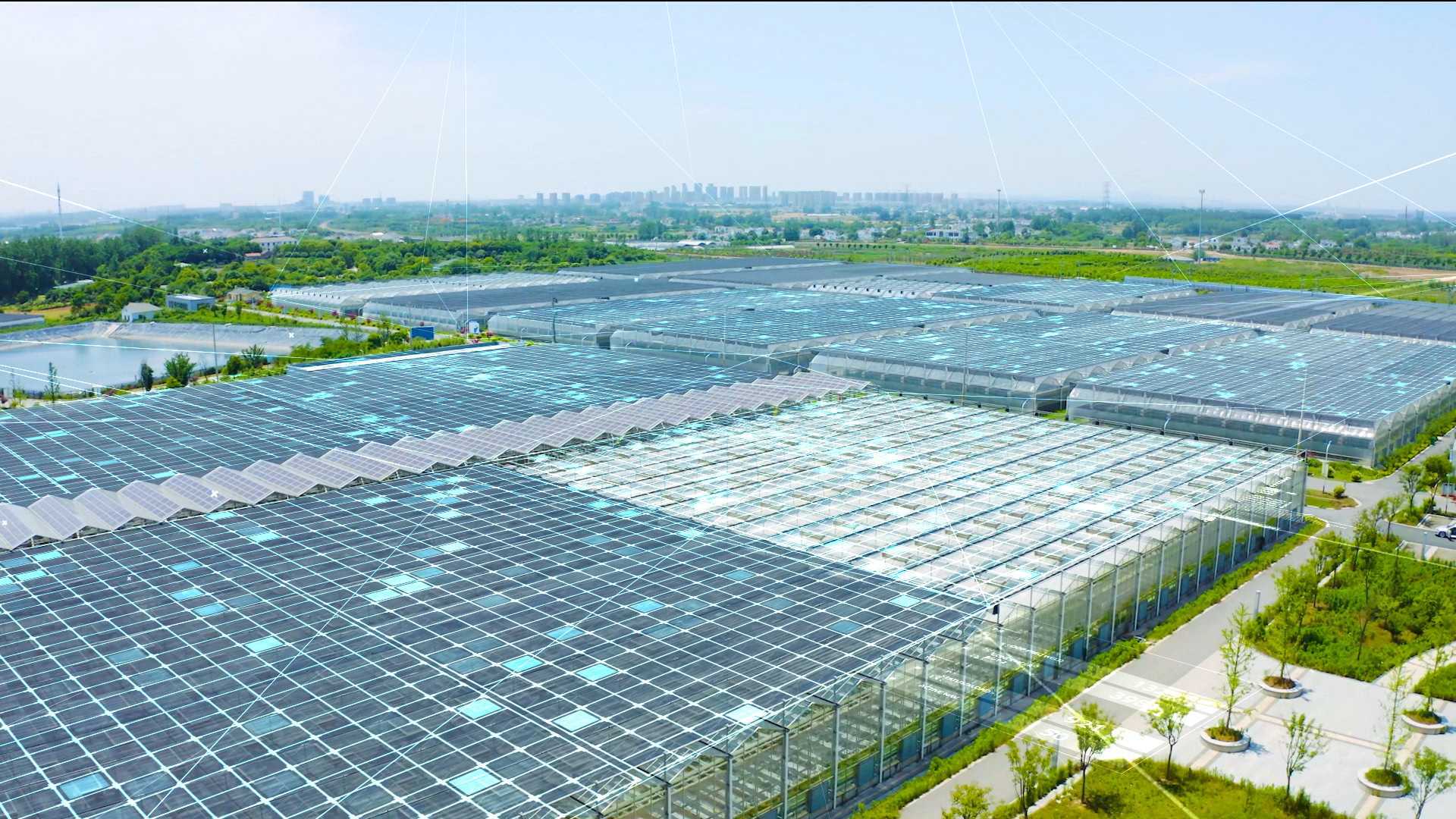 Glass greenhouse construction