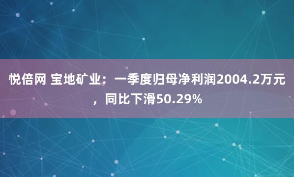 悦倍网 宝地矿业：一季度归母净利润2004.2万元，同比下滑50.29%