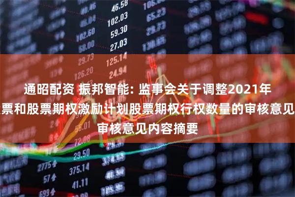 通昭配资 振邦智能: 监事会关于调整2021年限制性股票和股票期权激励计划股票期权行权数量的审核意见内容摘要