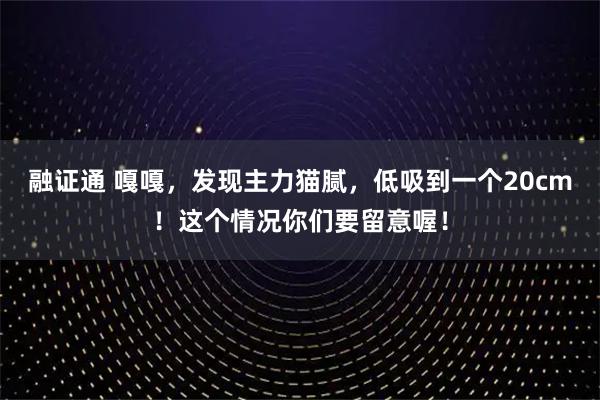 融证通 嘎嘎，发现主力猫腻，低吸到一个20cm！这个情况你们要留意喔！