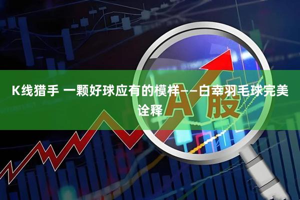 K线猎手 一颗好球应有的模样——白幸羽毛球完美诠释