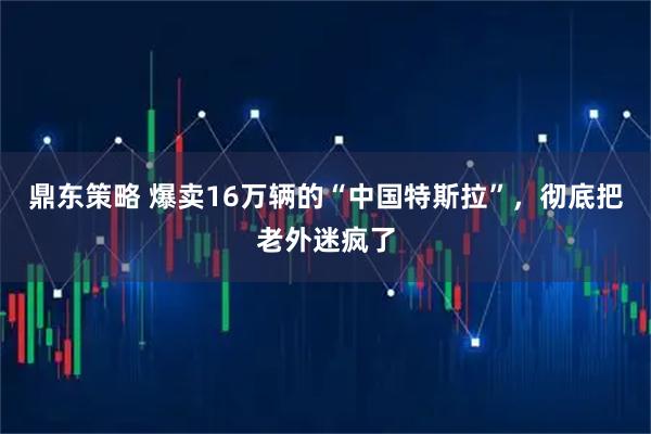 鼎东策略 爆卖16万辆的“中国特斯拉”，彻底把老外迷疯了